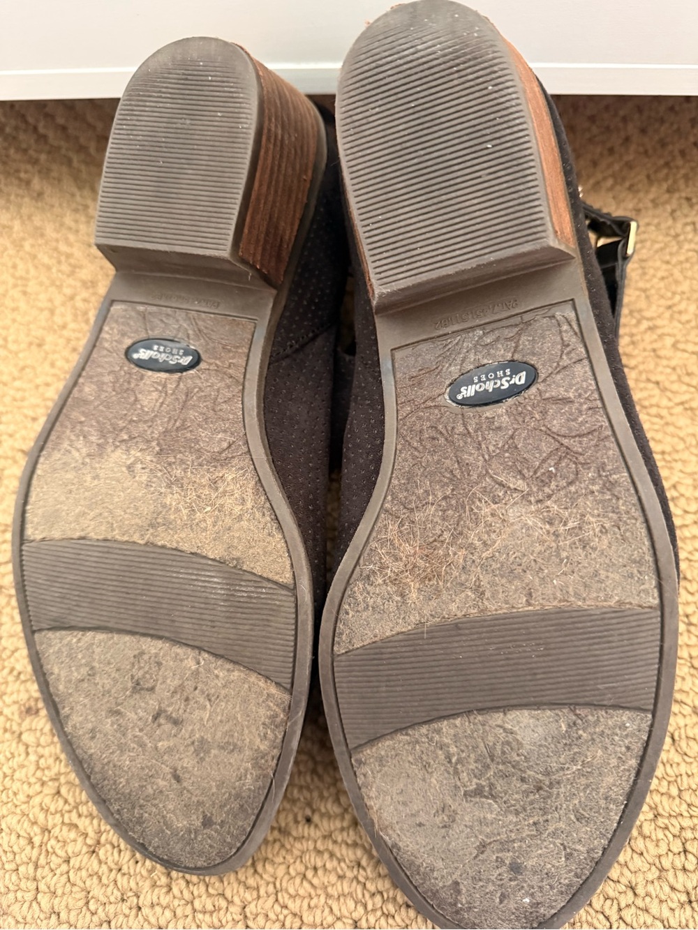 Dr Scholls Women’s Black Ankle Booties with Side Buckle Strap
Size 9 1/2 - Picture 5 of 6